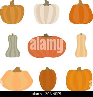 Set di zucche. Forme e dimensioni diverse gourd. Illustrazione vettoriale. Isolato su sfondo bianco. Illustrazione Vettoriale