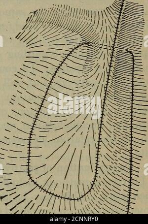 . Costruzione ferroviaria, teoria e pratica; un testo-libro per l'uso di studenti in scuole universitarie e scuole tecniche . ////iiiiy Fig. 2. /ll!V^&gt;Fig. 3. Foto Stock