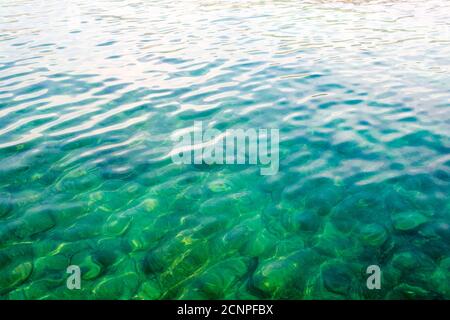 Fondo marino sottomarino. Acqua turchese trasparente blu. Acqua pulita del mare tropicale. Foto Stock