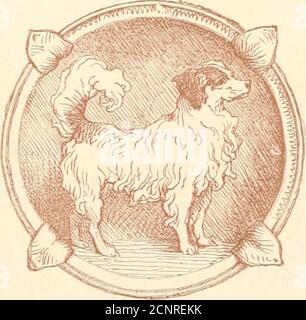 . Il viaggio di scoperta di Little Rosy intrapreso in compagnia di sua cugina Charley . NEW YORK: D. APPLETON E SOCIETÀ. MDCCCLXVIII. LA LIBRERIA &gt;TFAV YORK P:;li.IC ,r &gt;« » .j- .? tf &gt;«&gt; 33761UB ASFOR, LENOX E I.LuiIN FONDATIONS B 1843 L. Foto Stock