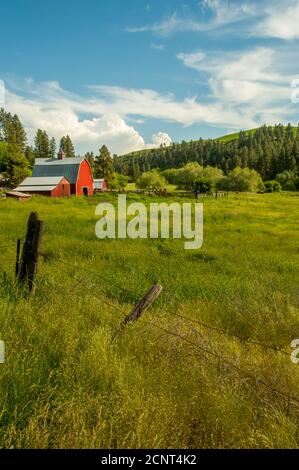 Un granaio rosso in una valle nella contea di Whitman, nel Palouse vicino a Pullman, Stato di Washington orientale, Stati Uniti. Foto Stock
