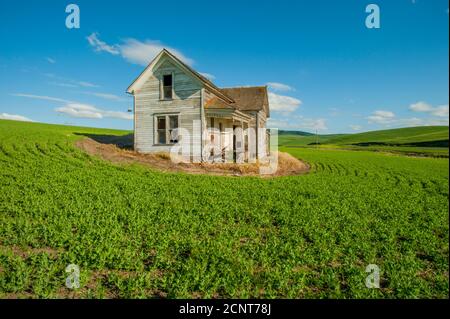 Vista della vecchia dimora Weber Farm abbandonata nella contea di Whitman, nel Palouse vicino a Pullman, Stato di Washington orientale, Stati Uniti. Foto Stock