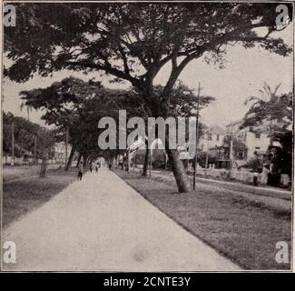 . La nostra ricerca di un deserto; un racconto di due spedizioni ornitologiche in Venezuela e nella Guiana Britannica. Quando gli abitanti si sono eccitati di un senso delle opportunità che stanno gettando via, diventerà una famosa località turistica; risvegliare il paese a nuova vita e portare i sicli a (lui coffersof suoi mercanti. Gli hotel e le zanzare sono i due keystto della situazione quella da acquistare, l'altro bandito.quando questo è fatto, i molti villaggi popolari invernali saranno messi duro a loro per mantenere i loro migranti lucrativi dal Nord. Gli abitanti di Georgetown hanno oneregret Foto Stock