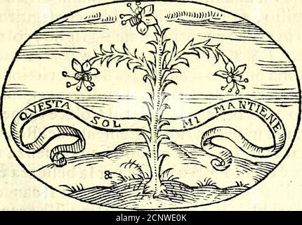 . Delle imprese trattate . Il nocciolo, poi che è dentro, è Ieroglifi-co de i fecreti, e della Sapienza di Dio, di cui non folo nellafrente, ma anco nella futura vita lana fi pafee . Dalla natura dellAmendola, che prima fiorifee e tofto muore, hanIngegno ve fatta f Impefa dvnIngegno veloce , che non fuole crefeere*occ alla maturità, onde nacque il Prouerbio, Odipuerulosprecoci fapientìa, di cui lAlci, Curpropertis myro fornitis necuki nelletà e facen-doli prouetti a pena ungono a mediocre flato di dot Foto Stock