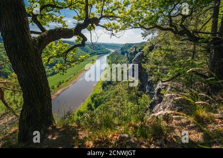 Germania. Vista dalla formazione rocciosa di Bastei lungo il fiume Elba. Visita al Parco Nazionale della Svizzera sassone nella stagione primaverile. Foto Stock