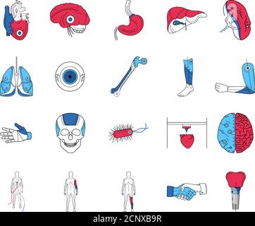 Set di icone delle linee colorate degli arti artificiali. Impianti protesici di organi e parti del corpo differenti. Pittogramma per pagina web, app mobile, promo. GUI UI UX Illustrazione Vettoriale