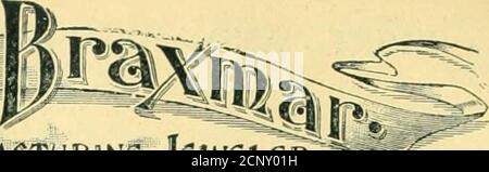 . Itinerari e tariffe delle escursioni estive. Delaware, Lackawanna e compagnia ferroviaria occidentale. 1893 .. . BADGE* Foto Stock