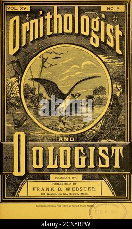 . Ornitologo e oölogist . uite vicino ad una finestra presso la residenza di C. M. Ham-mond, Hyde Park, Mass. F. B. il museo dei websters sarà completato il 1 agosto M. South Wick, il noto storico naturale, sta recuperando a Rangeley i^akes, Maine. Se c'è un'improvvisa cessazione di brevi note sarà il risultato di glee sportivo di Harry Austenspet orso che ci aspettiamo quotidianamente al nostro museo. Raleigh, N. C, .Tune 7,1800: Stagione fino ad oggi rea-sonably soddisfacente. Tra i nostri più noteworthithe sono nove serie di Yellow-Throated Warbler, sette-teen di Pine Warbler, quattro di Prairie Warbler Foto Stock