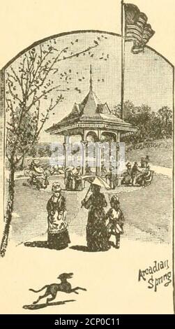 . Tiro di uccelli selvatici. Contenente descrizioni scientifiche e pratiche degli uccelli selvatici: Le loro località, le loro abitudini, i voli e il metodo di caccia più riuscito. MMwaukee, Waukesha, Madison, Neenah e Menasha, Screen Lake, Marquette, Lake Geneva, Fox Lake, Devils Lake. St. Paul, Minneapolis, Duluth, Ashland, Lake Minnetonka, Yellowstone National Park. Council Bluffs, Omaha, Denver e le montagne del Colorado, Salt Lake City, San Francisco, Los Angeles, Colton, San Diego, Portland, Tacoma, Seattle, Victoria, Vancouver e tutti i punti della costa californiana, dell'Alaska e del Pacifico. Foto Stock