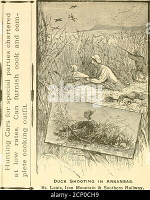 . Tiro di uccelli selvatici. Contenente descrizioni scientifiche e pratiche degli uccelli selvatici: Le loro località, le loro abitudini, i voli e il metodo di caccia più riuscito. 47 e 49 state Street, CHICAGO, ILLINOIS. Tiro delle anatre in Arkansas.Louis, Iron Mountain e Southern Railway. Il ^^■^ QUNTAIN ^ROUTE ■yi^^% attraversa i famosi campi di caccia e pesca dell'Arkansas. Nessuno Stato offre una varietà più ampia di Came. H. C. TOWNSEND, General Passenger e Ticket AgentST. LOUIS, MISSOURI. PRENDERE IL Bur|gto|, |]ed£ rapide jf jortliern lOWAROUTE CEDAR rapide / Ferrovia PER LA CACCIA e LA PESCA ft£:SOKXS lOWAROUTE Foto Stock