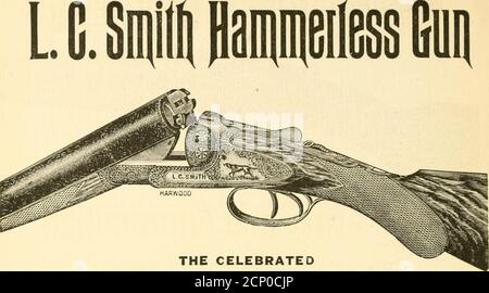 . Tiro di uccelli selvatici. Contenente descrizioni scientifiche e pratiche degli uccelli selvatici: Le loro località, le loro abitudini, i voli e il metodo di caccia più riuscito. OGNI STAGIONE RICORRENTE PORTA A OCONOMOWOC, V/AUKESHA, BEAVER DAM, FRONTENAC, HOTEL ST. LOUIS, OKOBOJI, LAGO MINNETONKA, ORSO BIANCO, SORGENTI DI EXCELSIOR, e innumerevoli altre località affascinanti con nomi romantici, migliaia delle nostre migliori persone le cui case invernali sono su entrambi i lati della linea Mason e Dixons. Eleganceand comodità ad un costo moderato può essere prontamente ottened.A lista delle case estive, con au informationconcerning necessario etere Foto Stock