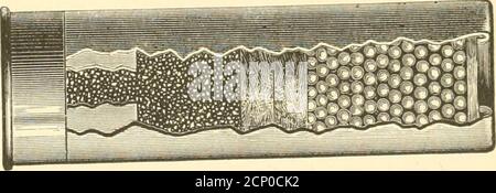 . Tiro di uccelli selvatici. Contenente descrizioni scientifiche e pratiche degli uccelli selvatici: Le loro località, le loro abitudini, i voli e il metodo di caccia più riuscito. IMPORTATORI E DEALEliS IN armi da fuoco e munizioni. PISTOLE SENZA MARTELLO UNA SPECIALITÀ. Solo A:rent3 per la pistola senza martello Daly e la pistola tre Barrel Daly, la pistola senza martello Westley-Richards per la pistola senza martello W. W. Greener, la pistola senza martello L. C. Smith, così come le armi inglesi e americane più economiche. Winckster Ris, Colt Riiles, Kup Billes, Smith & Wesson Revolvers, Remington Revolvers e Colt Revolvers. Tute da tiro, GU Foto Stock