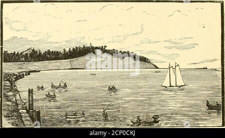 . Tiro di uccelli selvatici. Contenente descrizioni scientifiche e pratiche degli uccelli selvatici: Le loro località, le loro abitudini, i voli e il metodo più riuscito di cacciarli. Sono insuperabili per purezza ed eccellenza. Sono speciali e adattate a persone di gusto raffinato. Sono composti solo dalla più bella Virginia e Turkis-i foglia. 14 MEDAGLIE DEL PRIMO PREMIO. WM. S.KIMBALL & CO , Peerless Tobacco Works. Rochester, N. Y. Fremont, Elkhorn & Missouri Vaiiey R. la North-Western Line, PENETRA NEL NEBRASKA SETTENTRIONALE, NELLE COLLINE NERE e NEL WYOMING CENTRALE. ^insuperabili Chicken e Tu-key Shooting nel Nord Foto Stock