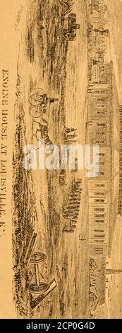 . I viaggiatori guidano alla ferrovia di Louisville e Nashville .. . et. Sixtli e Seveiitli, LOUISVILLE, KY.Agents per il laminatoio di New Albany, E rivenditori in Iroi^, acciai, punte, EIVETS, SCARPE e CHIODI KORSE, UNGHIE EODS, tutte le misure di ferro fabbricato, inclusi iijeMijiiUiffiiiFjiifyiii Springs, lime, Twer-ferri, bulloni, rondelle, pneumatici, Sleclsje e anveli, parafanghi, scalini, scalini a vite^. Scatole per tubi, piastre per stampi in acciaio Cincinnati e Indiana, lastre e piastre per aratro in ferro e acciaio, tutti descritti Foto Stock