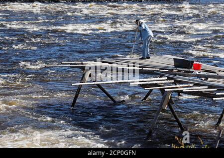 Kukkola, Svezia - 24 agosto 2020: Un uomo è la pesca tradizionale del lavaret (pesce bianco) nelle rapide di Kukkola nel fiume Tornio. Foto Stock