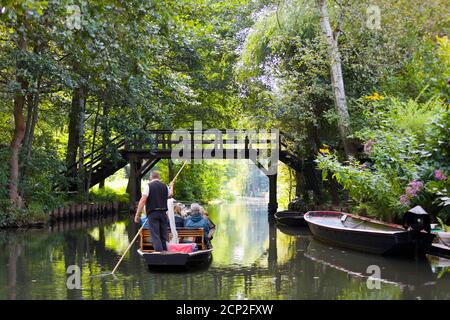 Gita in barca nello Spreewald Foto Stock