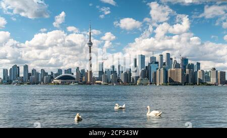 Lo skyline di Toronto e il lago Ontario durante l'estate, Toronto, Ontario, Canada. Foto Stock