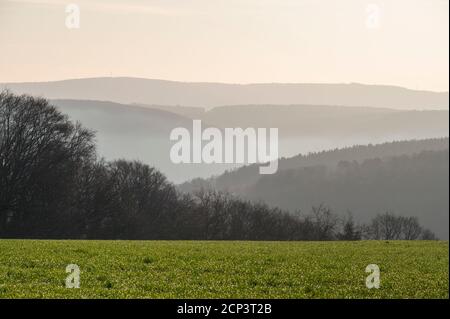 Campo di grano, linee d'orizzonte, foresta, valle principale, nebbia, mattina, primavera, Seckmauern, Odenwald, Assia, Germania Foto Stock