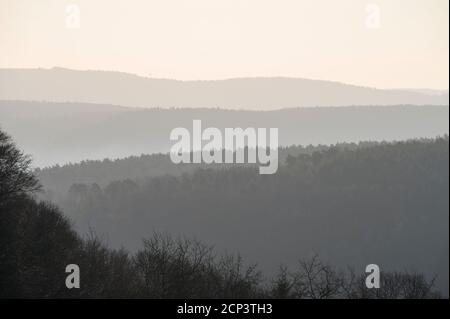 Linee d'orizzonte, foresta, valle principale, nebbia, mattina, primavera, Seckmauern, Odenwald, Assia, Germania Foto Stock