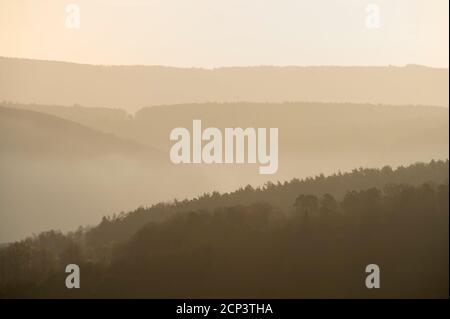 Linee d'orizzonte, foresta, valle principale, nebbia, mattina, primavera, Seckmauern, Odenwald, Assia, Germania Foto Stock