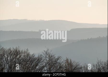 Linee d'orizzonte, foresta, valle principale, nebbia, mattina, primavera, Seckmauern, Odenwald, Assia, Germania Foto Stock