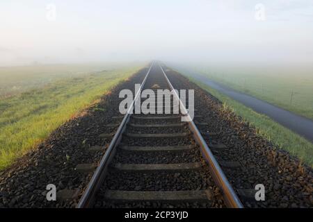 Binari ferroviari, mattina, nebbia, Bingenheimer Ried, Echzell, Wetterau, Assia, Germania Foto Stock