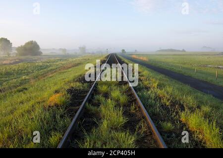 Binari ferroviari, mattina, nebbia, Bingenheimer Ried, Echzell, Wetterau, Assia, Germania Foto Stock