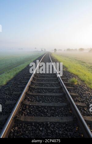 Binari ferroviari, mattina, nebbia, Bingenheimer Ried, Echzell, Wetterau, Assia, Germania Foto Stock