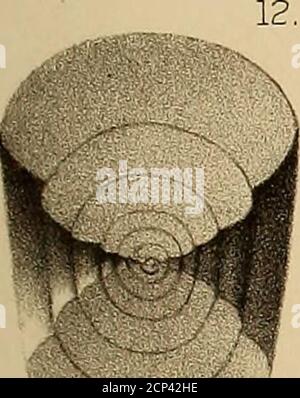 . Resoconto dell'esplorazione geologica del quarantesimo parallelo . Foto Stock