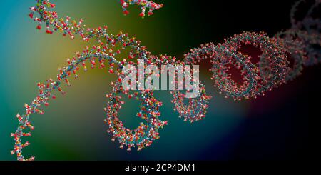 Catena di acido ribonucleico (RNA), illustrazione 3d. Foto Stock