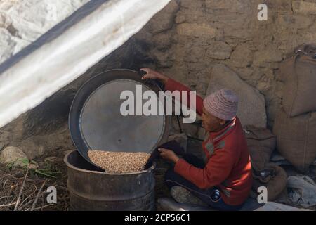 Tsampa è arrostito al Monastero di Mune Gompa Foto Stock