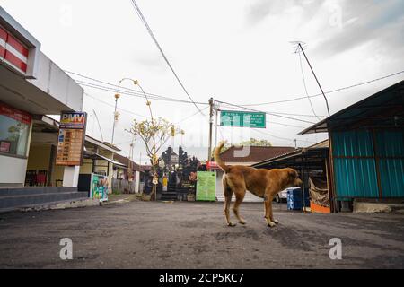 Tanah Lot, Bali, Indonesia - 16 SETTEMBRE 2020: Uno dei siti più visitati di Bali completamente vuoto nel giorno più santo dell'isola mostra l'effetto di Foto Stock