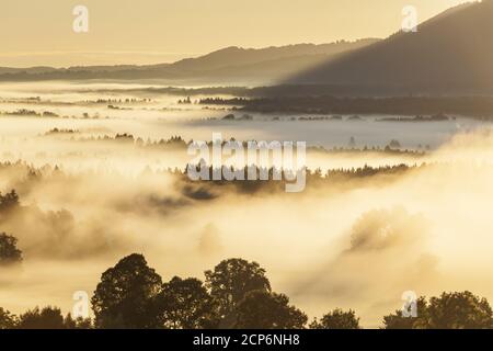 Nebbia in Kochelseemoos all'ombra delle Prealpi Bavaresi, Großweil, alta Baviera, Baviera, Germania meridionale, Germania, Europa Foto Stock