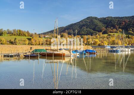 Autunno a Tegernsee, Gmund, Valle di Tegernsee, alta Baviera, Baviera, Germania meridionale, Germania, Europa Foto Stock