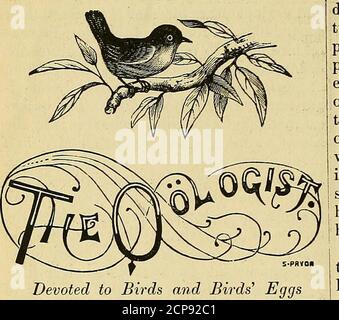 . Il Oölogist . su arope o in un cesto. Un gancio di pula deve essere trasportato con una maniglia lunga e leggera, a trafile o arti fino ad uno. Nel rivedere questi metodi, si fa insperanza di far uscire opinioni da tutte le parità, e si spera che si possa ottenere una buona collec- zione di metodi. ]Ir Ballou del nord del lago sur-vey parte scrive da Toledo: Sul thebig Chicken Reef Shoal, di Hen e Chick-ens gruppo di isole, lago Erie, cinque-hun-dred uova di questa specie (la Tern artica) sono stati presi per diem per un periodo di dodicedays. Sulla vecchia isola di Hen sette-hun-dred, sulla piccola isla di pollo Foto Stock