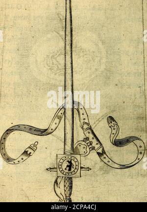 . Device eroiques, et emblemes . Siècle vainc. ^ la DeYi/e de la couronne d*EJ]&gt;în7s] qui (S]rarde aDiec^eneraiion en la Sainte chapellea Paris, it/êmble du Ro/eau de la papon denotre Sauur Iefu-cbrift, ejl enfigne de finrègnefte&* éternel de ïicloirejus uexfa. Epouatail a faute. Pompée le Granà efîant créé chef darmée% & fytla ïenuoyant en Sicile•, noni feulement-, feporta en Maguflrat de guerre, preus hardi &* yio-iantenais aufi fegouerna trefequu uhkmentD/iuanîen iufte Capitaineideforî HEROi Q3 ï S. 315 ceque flentz è rosso flenthis Foto Stock