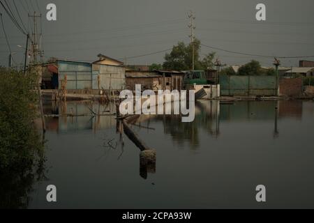 Area costiera sommersa che soffre di cedimenti di terra e di inondazioni di acqua di mare. Foto Stock