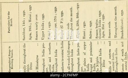 . Nidificazione degli uccelli in India. Un calendario delle stagioni di allevamento, e una guida popolare alle abitudini e ai luoghi degli uccelli. Illustrato . ker, gambero nero, gambero cucù pied, gambero grigio-cucù grande, minivet piccolo, bianco-browned fantasail, trush terra, guerriero ruscello-bellito, bulli verdi, iora, i grandi guerrieri cuoi andallied, guerriero Sykes, il castagno-strizzone e spottedmunia, il cordoncello indiano, il bottino, il cordoncello, il merlo, il merlato, il merlato, il merlo, il merlo, il merlo, il merlo, il merlo, il merlato, il merlato, il merlato, il merlato, il merlato, grande fischio e cormorano minore possono essere presi durante il mese. Il likhfl Foto Stock