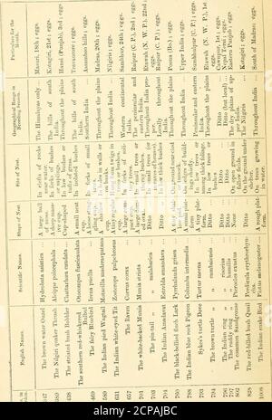 . Nidificazione degli uccelli in India. Un calendario delle stagioni di allevamento, e una guida popolare alle abitudini e ai luoghi degli uccelli. Illustrato . H W c3 OJ è ^2 r£ g a t; ■.3 BD a ^ J !i^, m H © H Oi 00 -JH 00 CO CO «&gt; ^m ^ ,ri t^ ^ H t£ &H ^ §^fl è 1-( a ■^ a&gt; M ^ -d H) o H ^ i&gt; 00 ^wsesSjtfae^atSeqej^^-^ Foto Stock