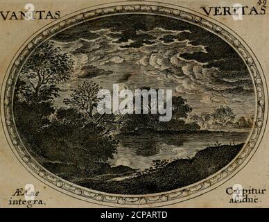. Mundi lapis lydius, siue, Emblemata moralia nobilissimi viri D. Antonii A. Burgundia quondam Archidiaconi Brugensis : in quibus vanitas per veritatem falsi accusatur & conuincitur . IlMBLEvMA 48. J^. Viridi nimiim^laceas tihijiorejnventa,Kt sederi et ttTtJ yrcEterit IUA^edc . STC qwz Vere nviv ridehiifJJorihus arhor,deciduis uhvjlorikis, ecce, caret . Flos vilrK,ut-Flos dcn&gt;cfrrs,QMA^ ultt),nonilB J&xichi5.cilitt?perit mcbiceti».,quam maturaetvis.mors illi ■vicma. eil, etfi remota •viciepiures imc^ovitak^Qoefahuhausis«^Qojutives Foto Stock