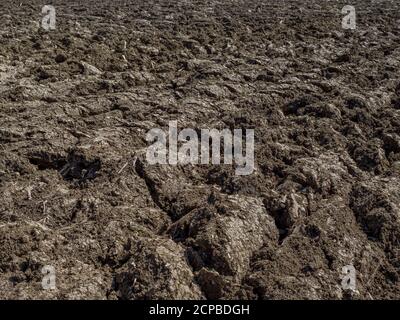Campo appena arato in primavera, Baviera, Germania, Europa Foto Stock