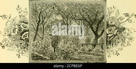 . Escursioni estive itinerari e tariffe . . . ^ barca onfair Cayuga. Ithaca ha ora uno dei migliori hotel dello stato, e, con le sue varie attrazioni, ben merita la lode di tutti coloro che sono entrati nelle sue porte ospitali. DELAWARE, LACKAWANNA & WESTERN R. R. 99 Foto Stock