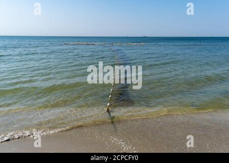 Fattoria Oyster in riva al mare su una calma e soleggiata giorno d'estate Foto Stock