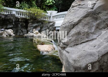 Cascata del Parco di Hong Kong Foto Stock