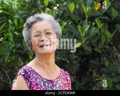 Ritratto di una donna anziana che indossa occhiali, sorride e guarda la macchina fotografica mentre si trova in un giardino. Spazio per il testo. Concetto di persone anziane e h Foto Stock