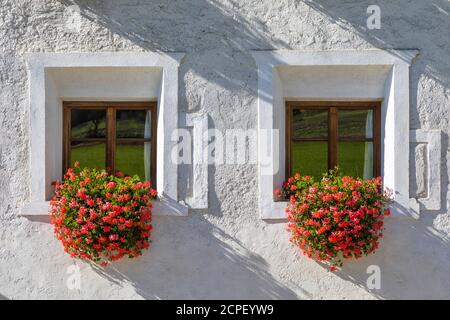 Finestra con gerani (Pelargonium sp.) su una facciata di un vecchio edificio in Alto Adige, Rasen-Antholz, Bolzano, Italia Foto Stock