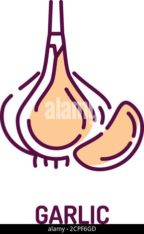 Icona linea colore aglio. Segno vegetale naturale. Spezie per cucinare. Concetto di cibo sano e biologico. Ingrediente di cottura. Illustrazione Vettoriale