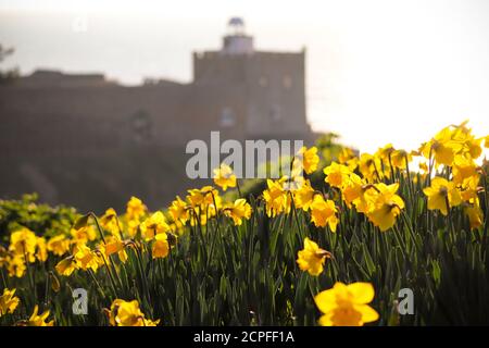 Scala Jacobs, Sidmouth Foto Stock