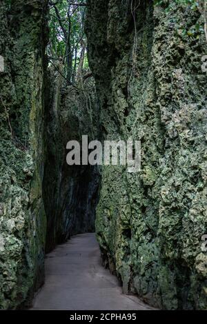 Crevice nella zona ricreativa della foresta nazionale di Kenting Foto Stock