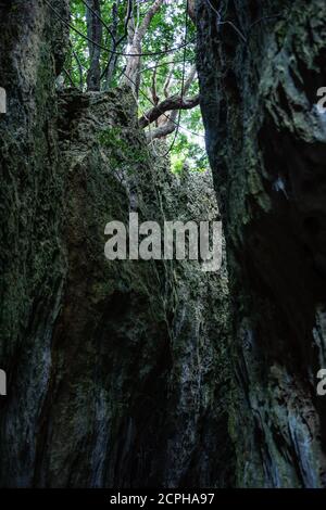 Crevice nella zona ricreativa della foresta nazionale di Kenting Foto Stock